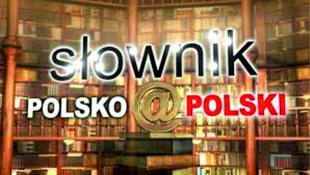 SŁOWNIK POLSKO@POLSKI