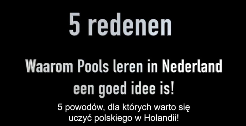 Dlaczego warto uczyć się polskiego w Holandii?