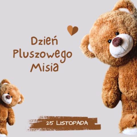 DZIEŃ PLUSZOWEGO MISIA